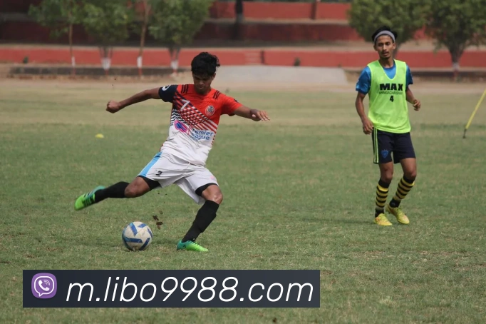 libo立博英国平台生态图